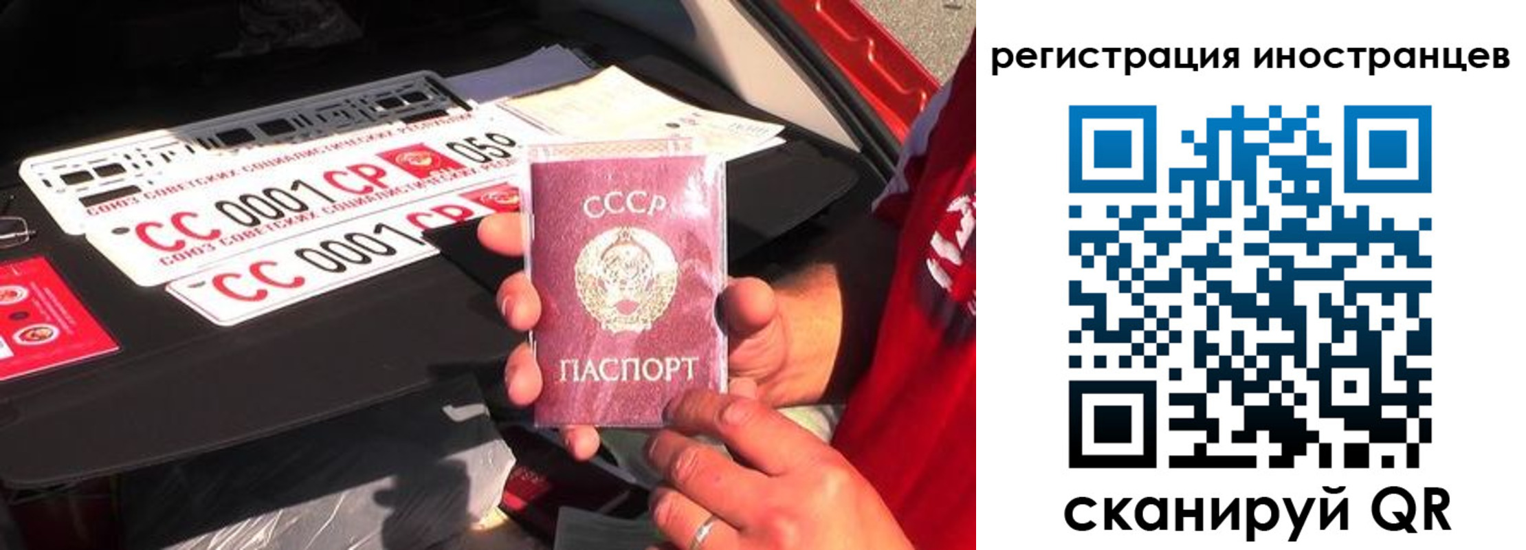прописка гарантия в Волосово